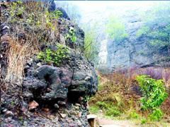 浙江普陀山 浙江普陀山