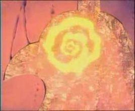 菲尼克思 菲尼克思