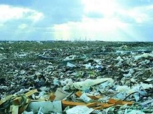 垃圾大陸 垃圾大陸