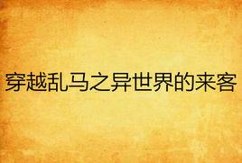 穿越亂馬之異世界的來客 穿越亂馬之異世界的來客