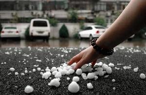 1976年4月17日 1976年4月17日