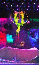 燈光設計師　王遙