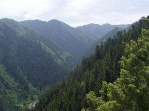 天池自然保護區