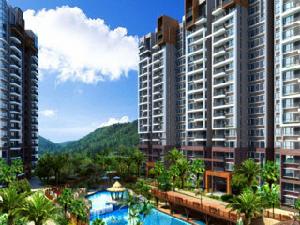 北京五指山水林溪 北京五指山水林溪