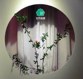 花開菩提 花開菩提