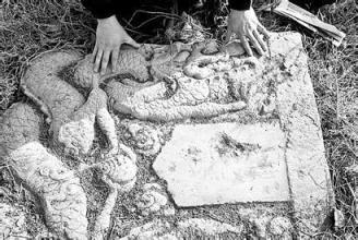 三峽工程發現 乾陵 “武則天” 封藏的天大秘密,考古界震動 三峽工程發現 乾陵 “武則天” 封藏的天大秘密,考古界震動