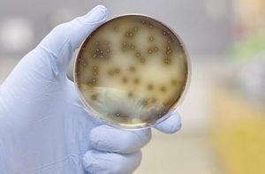 科學實驗法 科學實驗法