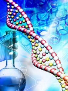 肌酸激酶 肌酸激酶