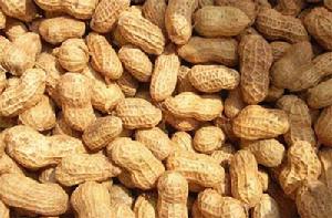 嵩縣閆莊特產——花生