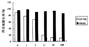 細胞的旁觀者效應