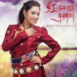 紅珊瑚[崗嘎措演唱的歌曲]