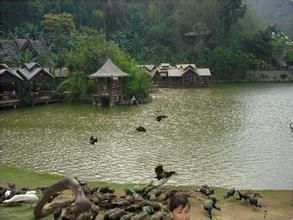 曼斗旅遊村 曼斗旅遊村