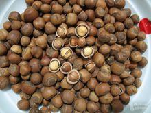 核桃 榛子 杏仁 腰果