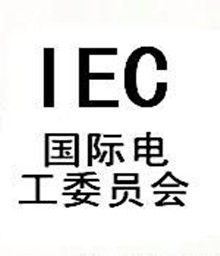 國際電工委員會 國際電工委員會