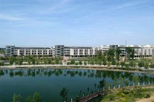 煙臺萊州月季花節