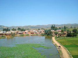 平遠鎮蒲草村民委 平遠鎮蒲草村民委