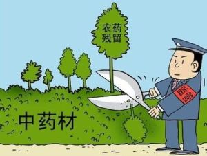 中藥資源與開發 中藥資源與開發