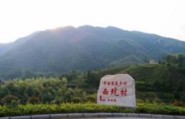 西坑村[浙江省麗水市松陽縣四都鄉下轄村]