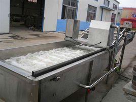 蔬菜清洗機 蔬菜清洗機