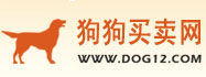 狗狗買賣網