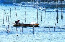 民權黃河故道國家濕地公園