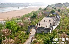 贛縣櫻花公園 贛縣櫻花公園