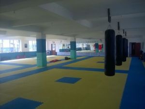 延吉市綜合格鬥俱樂部