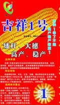 吉祥一號玉米 吉祥一號玉米