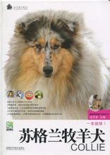 《蘇格蘭牧羊犬》封面