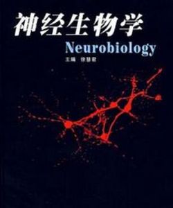 計算神經生物學
