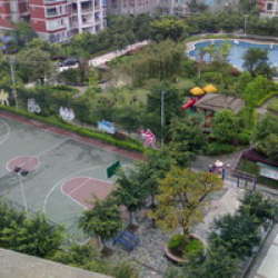 竹映三清 竹映三清