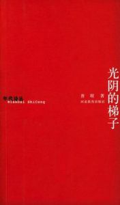 光陰的梯子 光陰的梯子