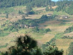 大中山村 大中山村