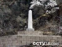 王家山慘案 王家山慘案