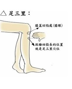 足三里
