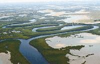 薩盧姆三角洲國家公園 薩盧姆三角洲國家公園