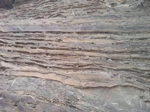 日灣察卡組 日灣察卡組