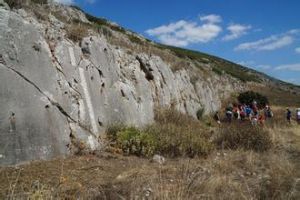 地震地表破裂變形帶 地震地表破裂變形帶