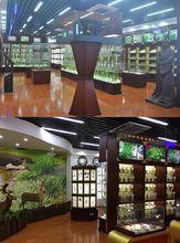 廣東茂名健康職業學院