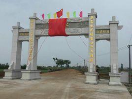 芒海村[廣東省湛江市徐聞縣芒海村]