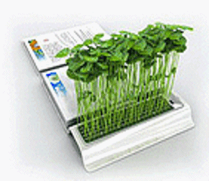 創意瓜果書 創意瓜果書