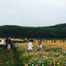 黃沙坪村[湖南省鳳凰縣千工坪鎮下轄村]