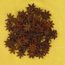 大茴香提取物 大茴香提取物