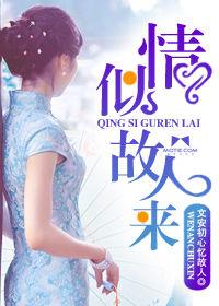 情似故人來 情似故人來