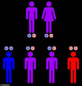 隱性基因 隱性基因
