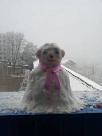 《孫雙金與情智教育》 《孫雙金與情智教育》