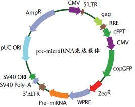 重組質粒 重組質粒