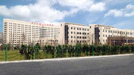 桐鄉市人民政府辦公室 桐鄉市人民政府辦公室