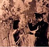 新婚的前夜 新婚的前夜