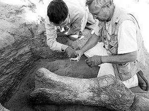 史前巨獸之河 史前巨獸之河